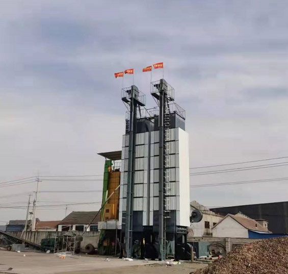 水稻烘干機產量降低到底是由什么原因引起的
